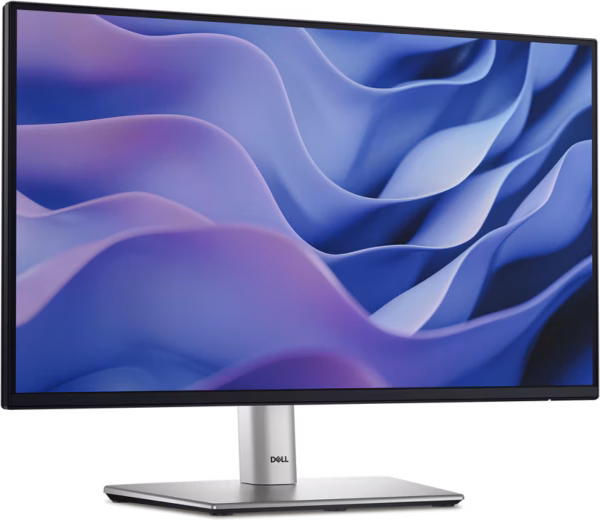Dell 22 Monitor – P2225H, 54.6cm (21.5″)